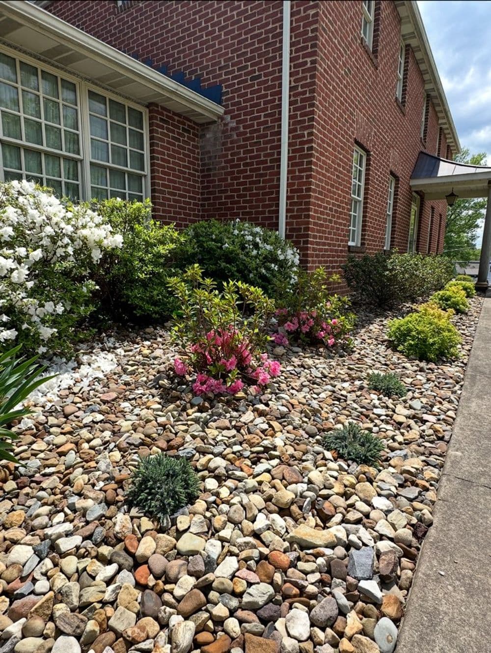 Colorful garden landscape with azaleas and rocks outside a brick building.